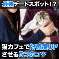 最強デートスポット!?猫カフェで好感度Uさせる5つのコツ