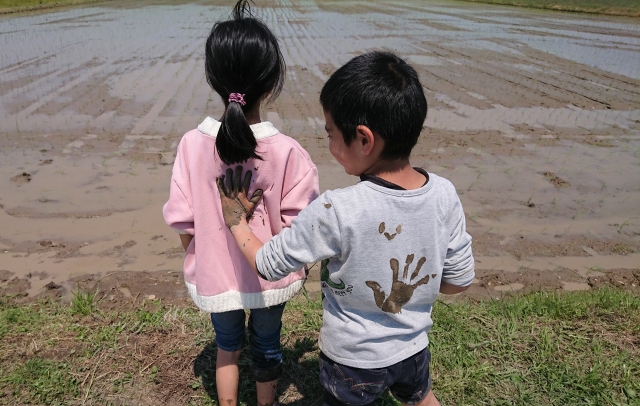 田んぼの前で泥だらけの手で背中に触れる男の子と、それを受け止める女の子