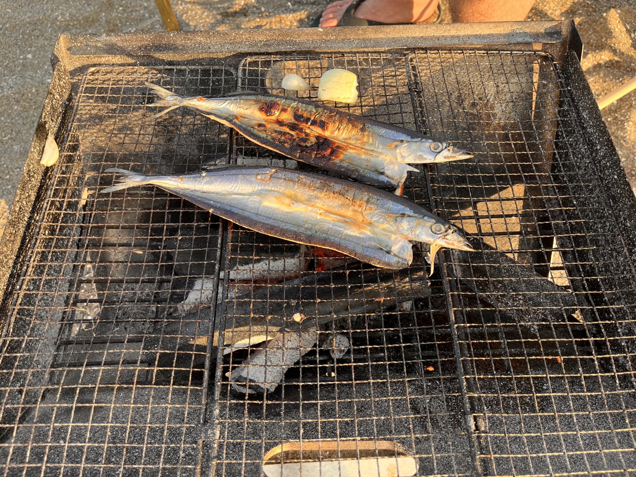 BBQでサンマをやく